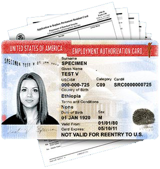 Employment Authorization Card Renewal (EAD)